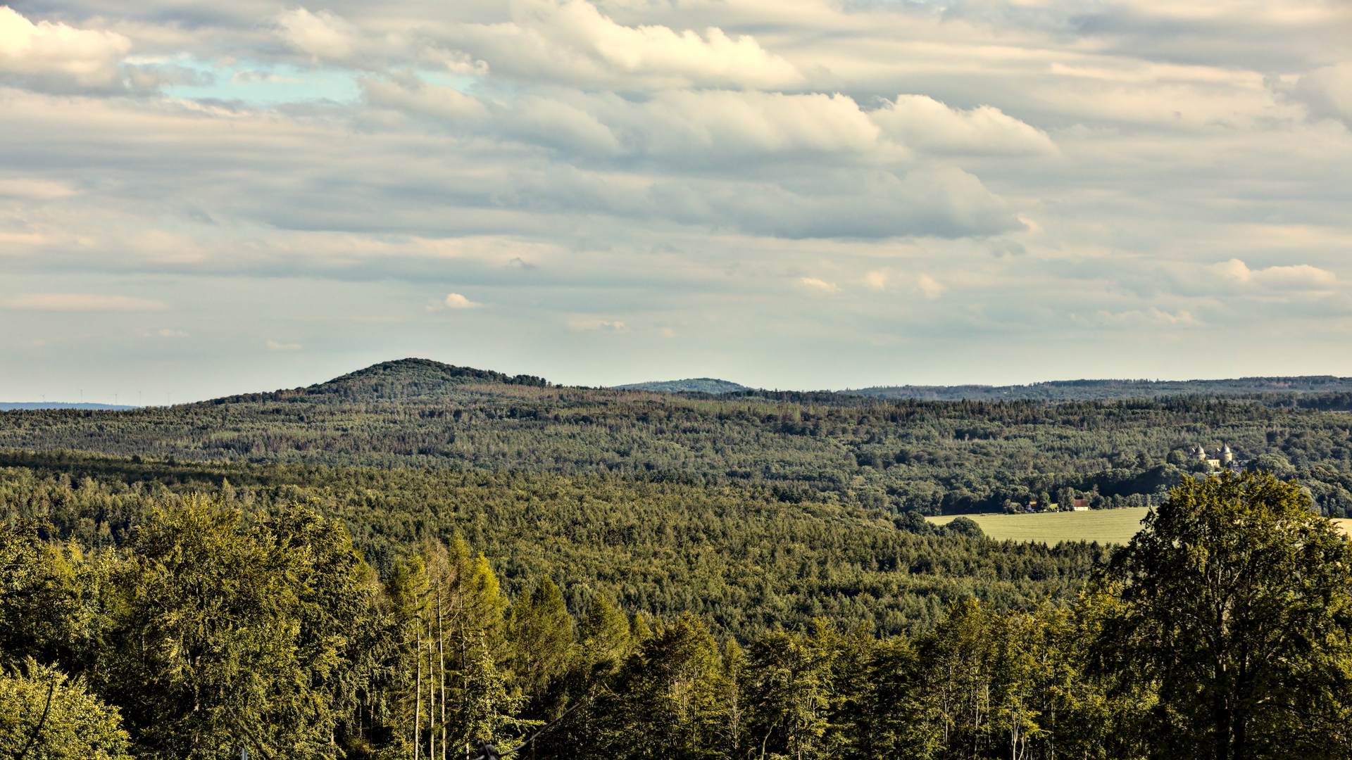 Märchenwald Reinhardswald - Windpark Reinhardswald - Dagegen!