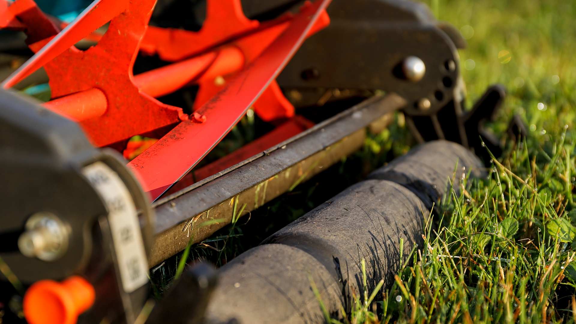 Rasen mähen kann jeder - Windpark Reinhardswald - dagegen!