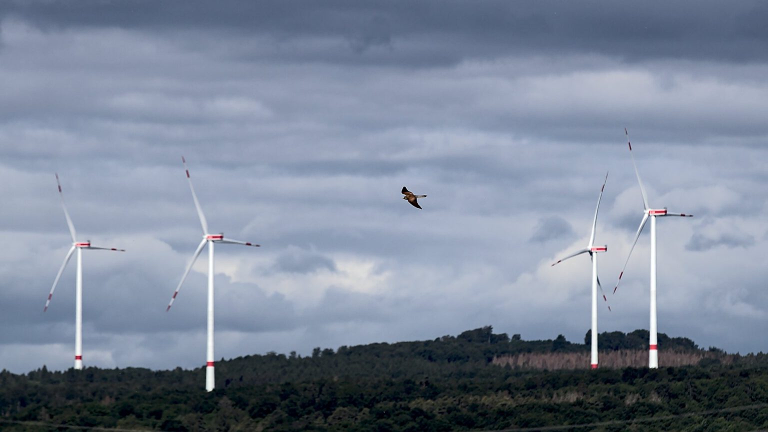 Startseite - Windpark Reinhardswald - Dagegen!