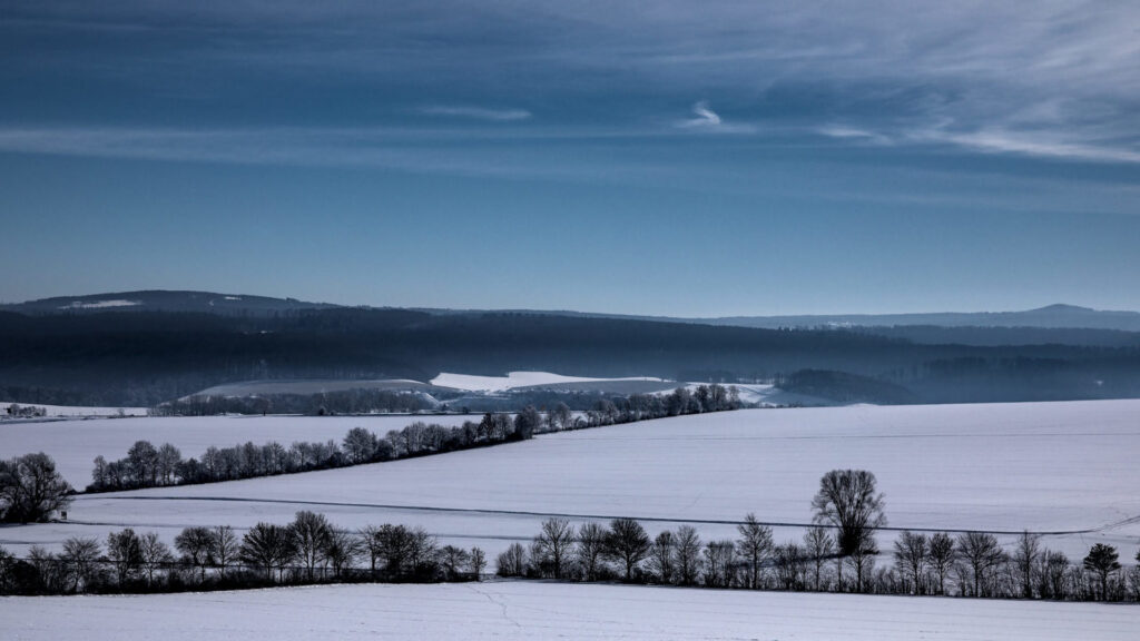Reinhardswald im Winter