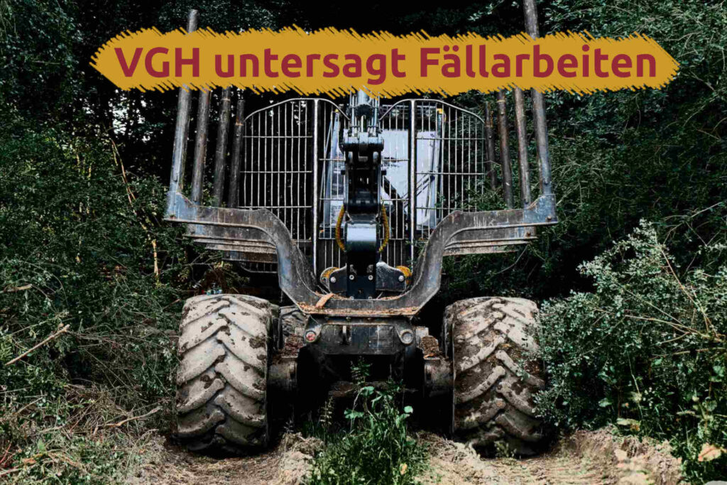 harvester reinhardswald vgh untersagt fällarbeiten