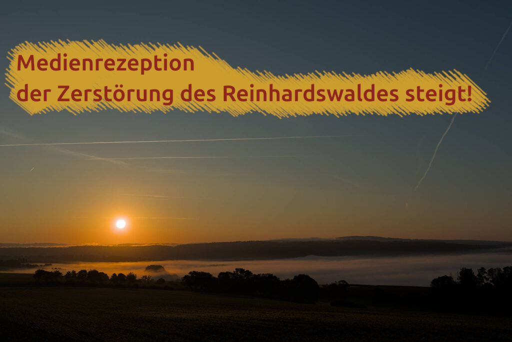 Medienrezeption der Zerstörung des Reinhardswaldes steigt
